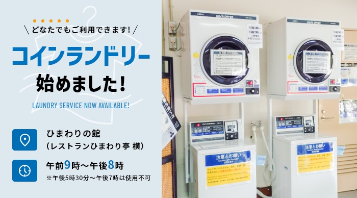 コインランドリー始めました
